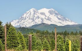 R & R Chalet At Mt. Rainier